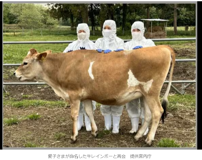 オーバーオール好き
