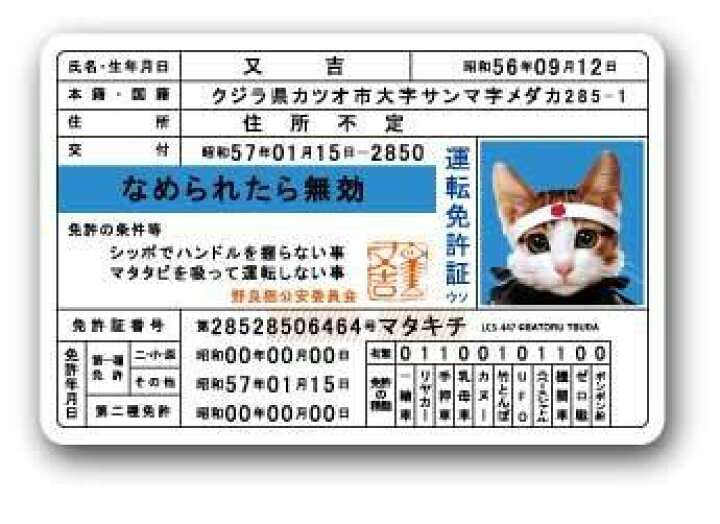 ペーパードライバー初めての一人運転