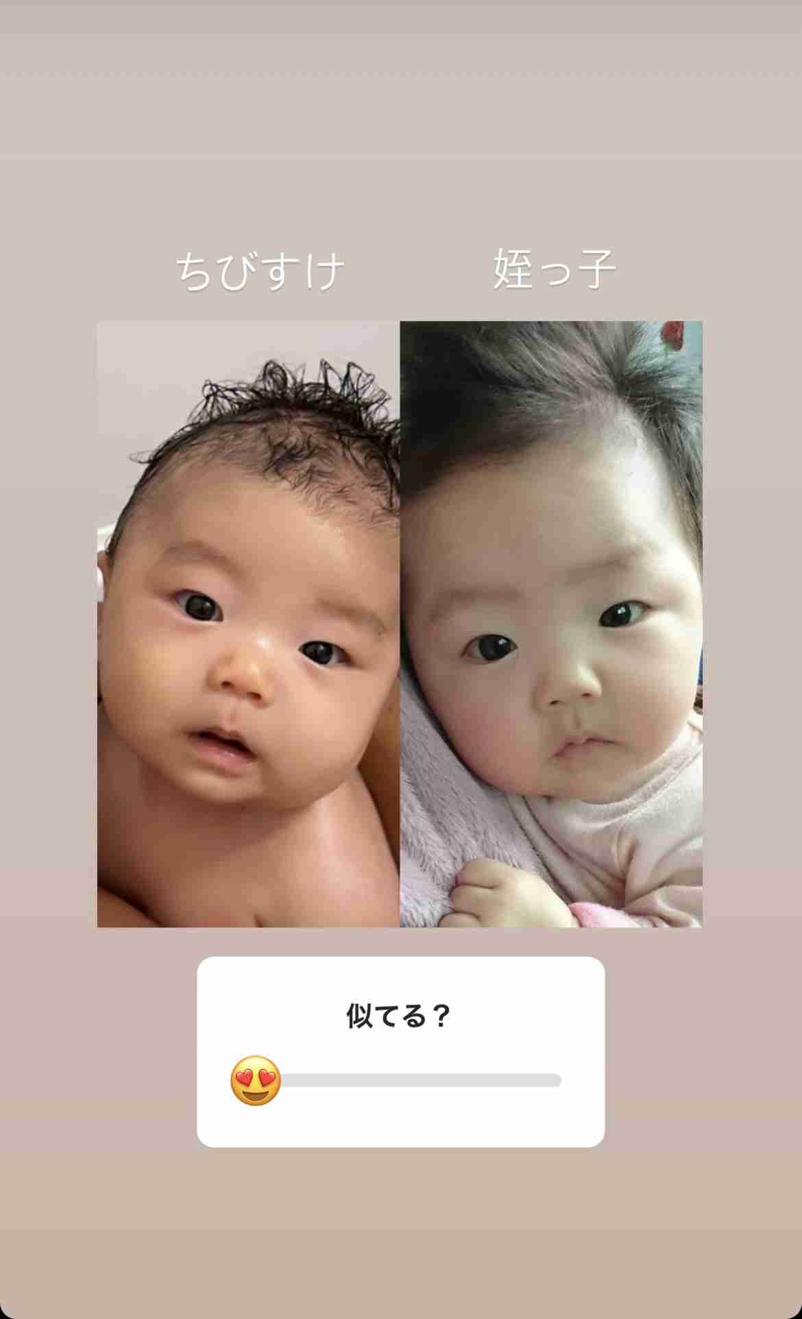 魚の味の違いわかりますか？