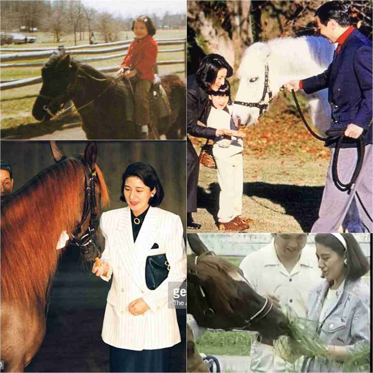 天皇陛下が撮影された“貴重なオフショット”が公開される　投稿1時間以内に“驚異の4万5000いいね”