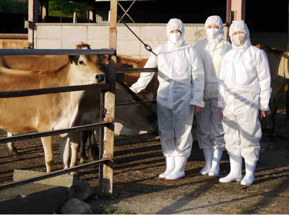 天皇陛下が撮影された“貴重なオフショット”が公開される　投稿1時間以内に“驚異の4万5000いいね”