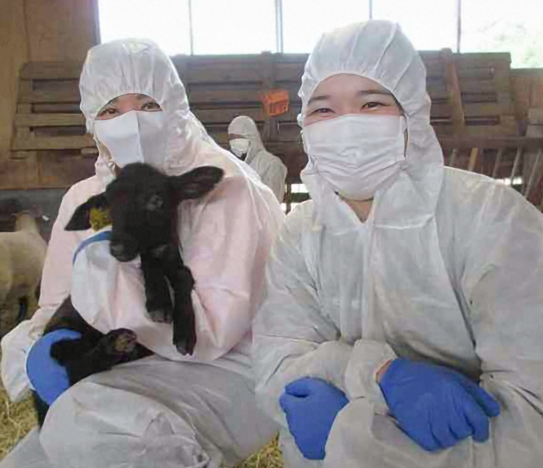 天皇陛下が撮影された“貴重なオフショット”が公開される　投稿1時間以内に“驚異の4万5000いいね”