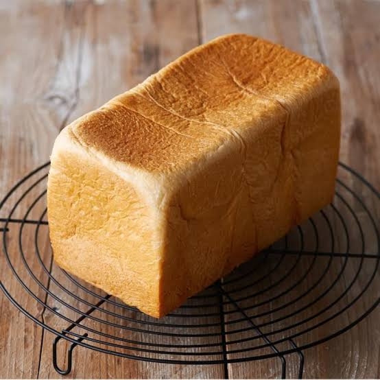 動物病院で「コーギーだよね？足長くない？」と言われたワンコ　獣医師も驚く美脚に「コーギー界の冨永愛さん」「普通の倍ありそう」