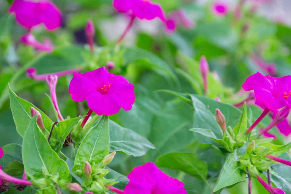 化粧品 聞かれるの嫌ですか?