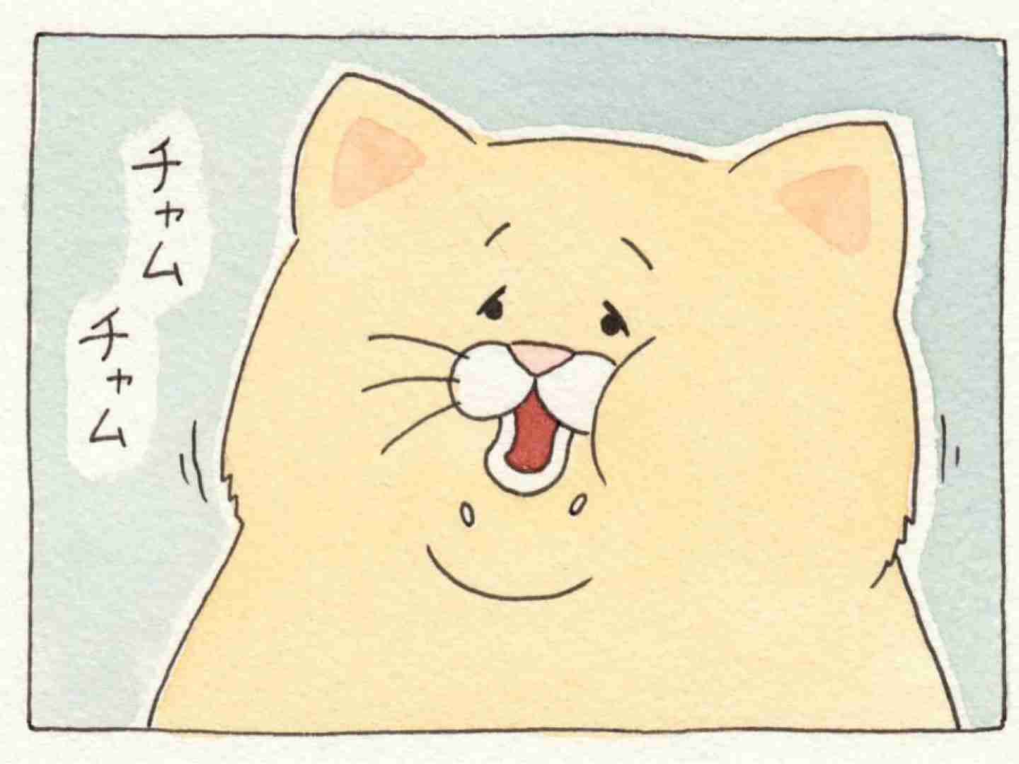 特に痩せる必要を感じない