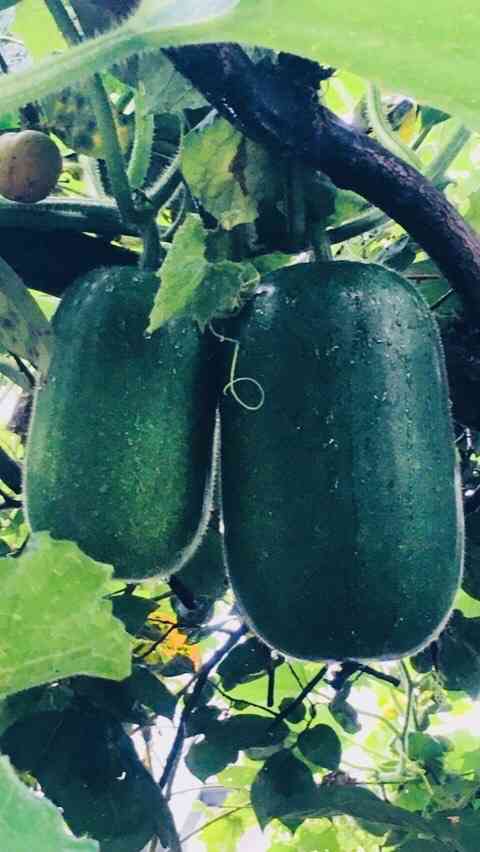 不思議な力がある方 part34