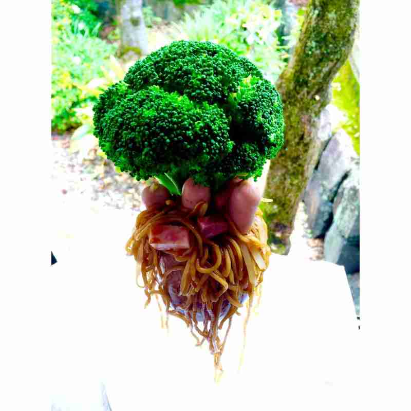 ブロッコリー🥦