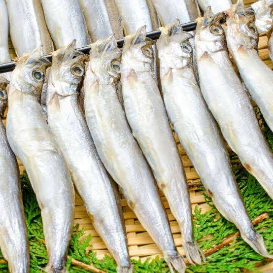 まもなく「独身様」が申し訳なさそうに生きる時代がくる…「子持ち様」と「独身様」の評価が逆転する日