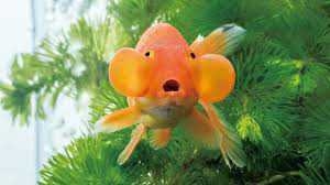 【画像】色んなめるるが見たい【生見愛瑠】