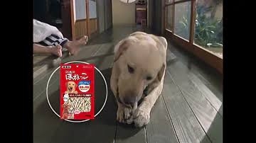 好きな犬種