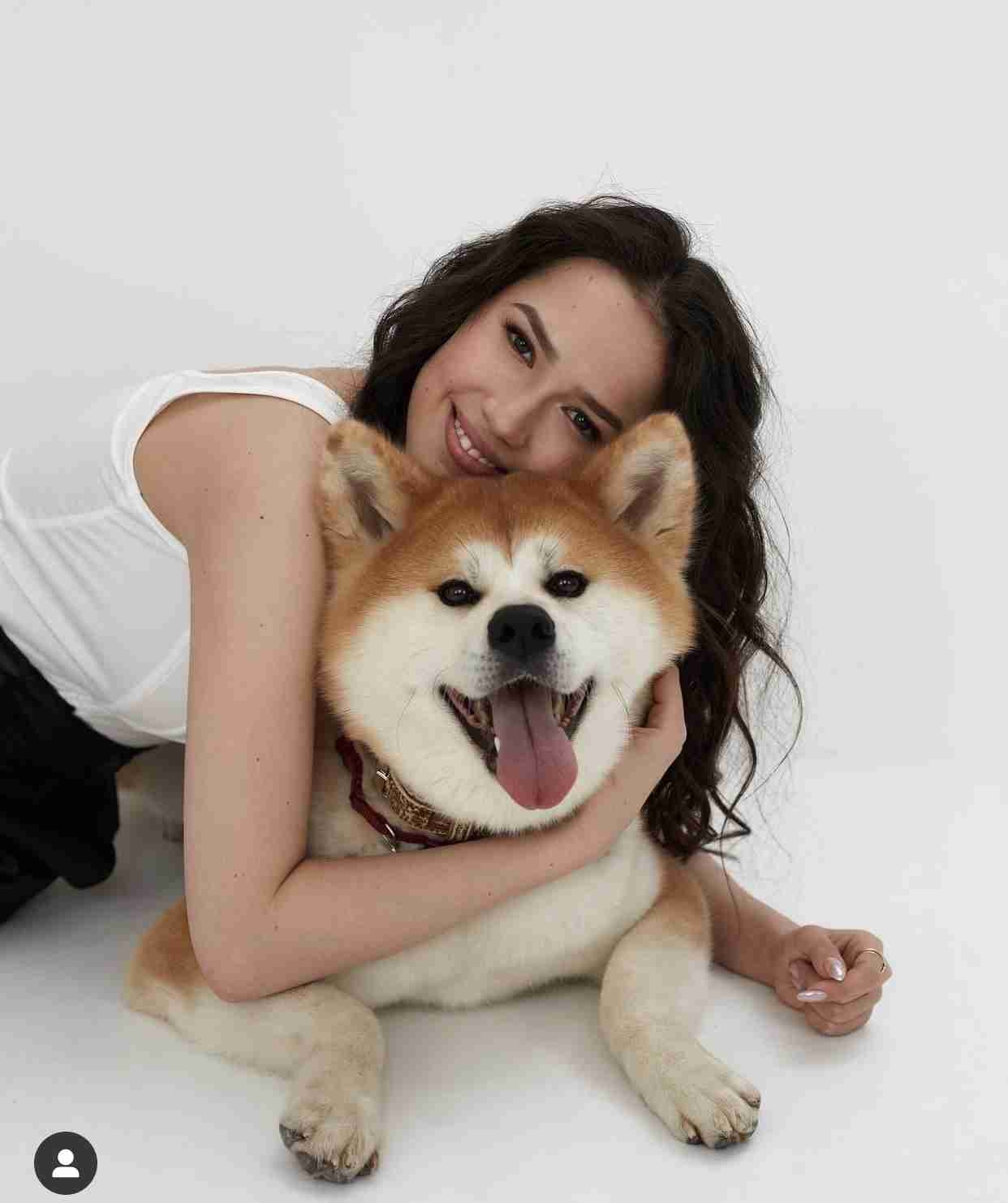 好きな犬種