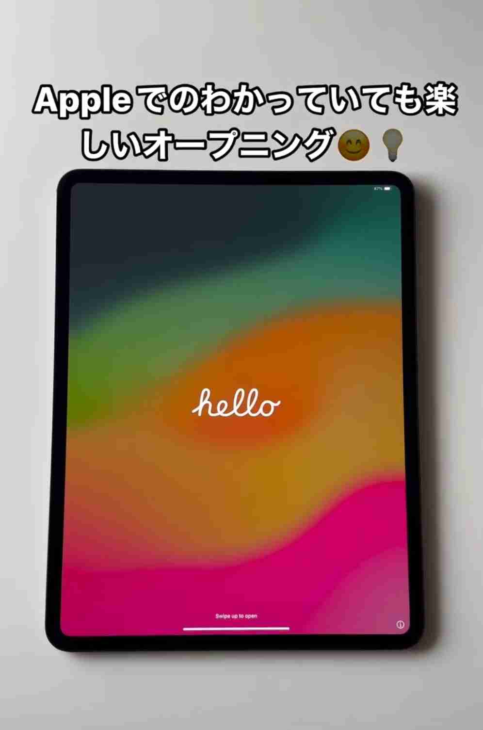 小林麻耶＆國光吟、600万円超する“新型外国車”購入に「中古で売る時の値段は考えてません」　高額iPadもゲットで生活フルエンジョイ