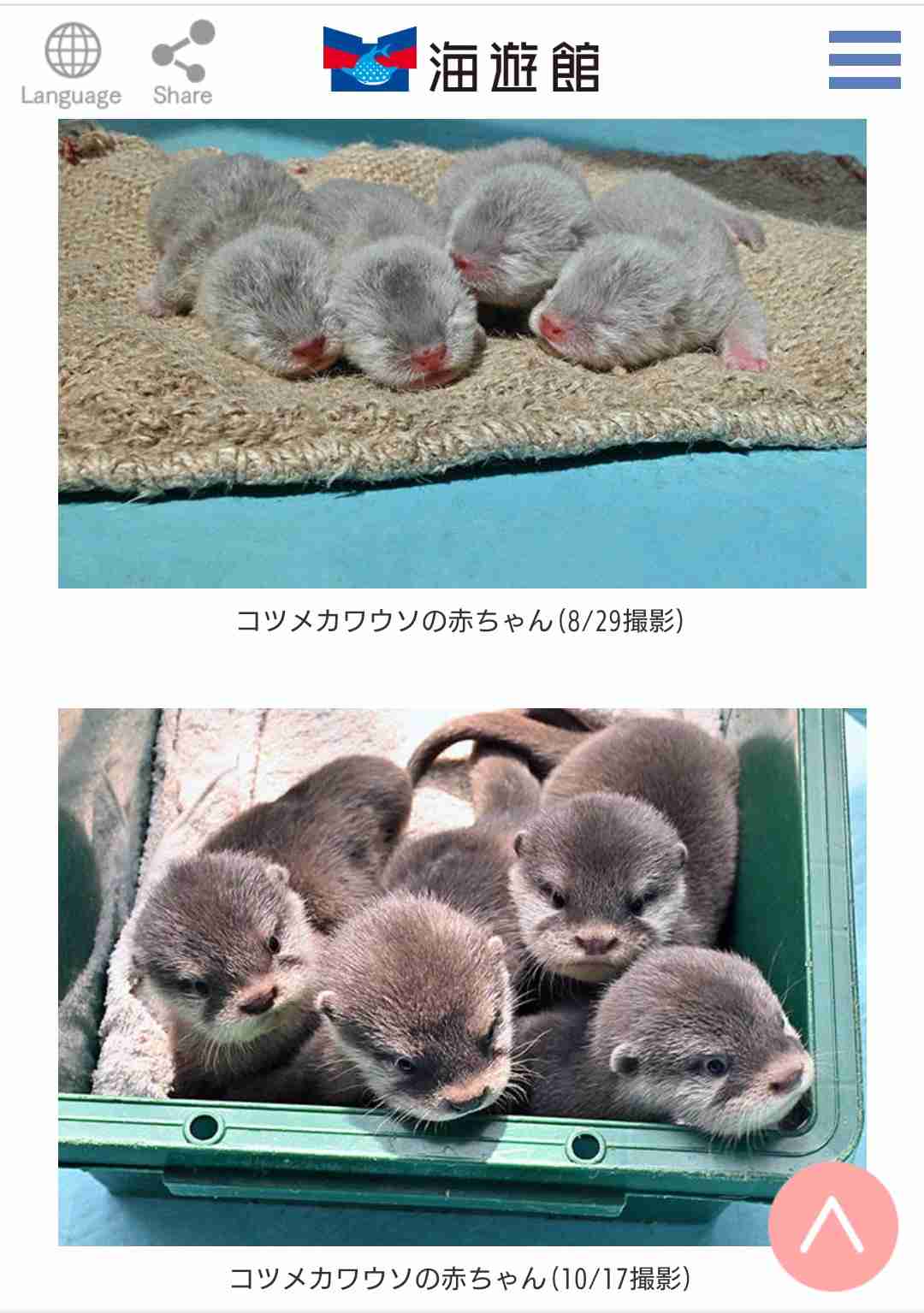 初めての大阪旅行