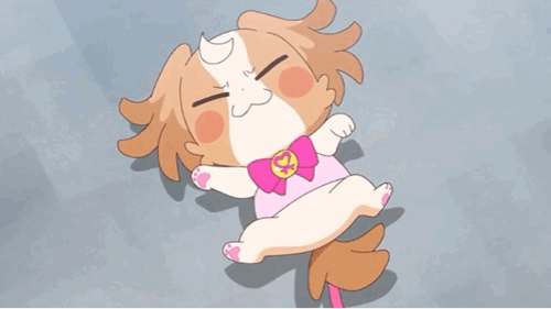 わんだふるぷりきゅあ！を語りたい