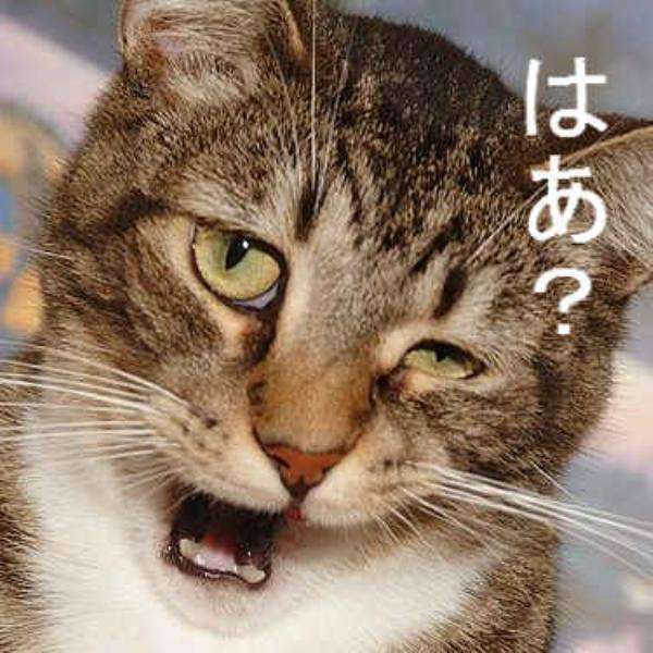 【斎藤元彦知事】全国から兵庫県庁に1日200件を超える電話…思い詰めた最側近から辞任を迫られ、漏らした衝撃の一言