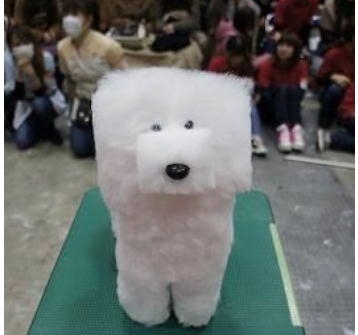 サマーカットされちゃった動物たち