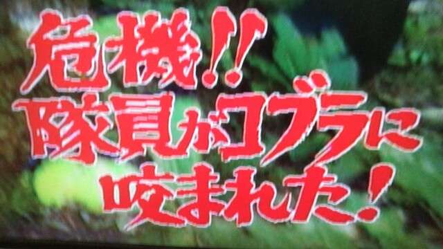 目黒蓮、存在感あふれるFENDI新作バッグを着用 リンゴモチーフでユニークな着こなし