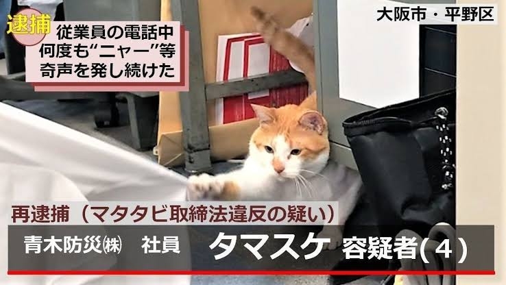 【スギちゃん】おっととっと夏だぜぇ〜🌺【Part97】