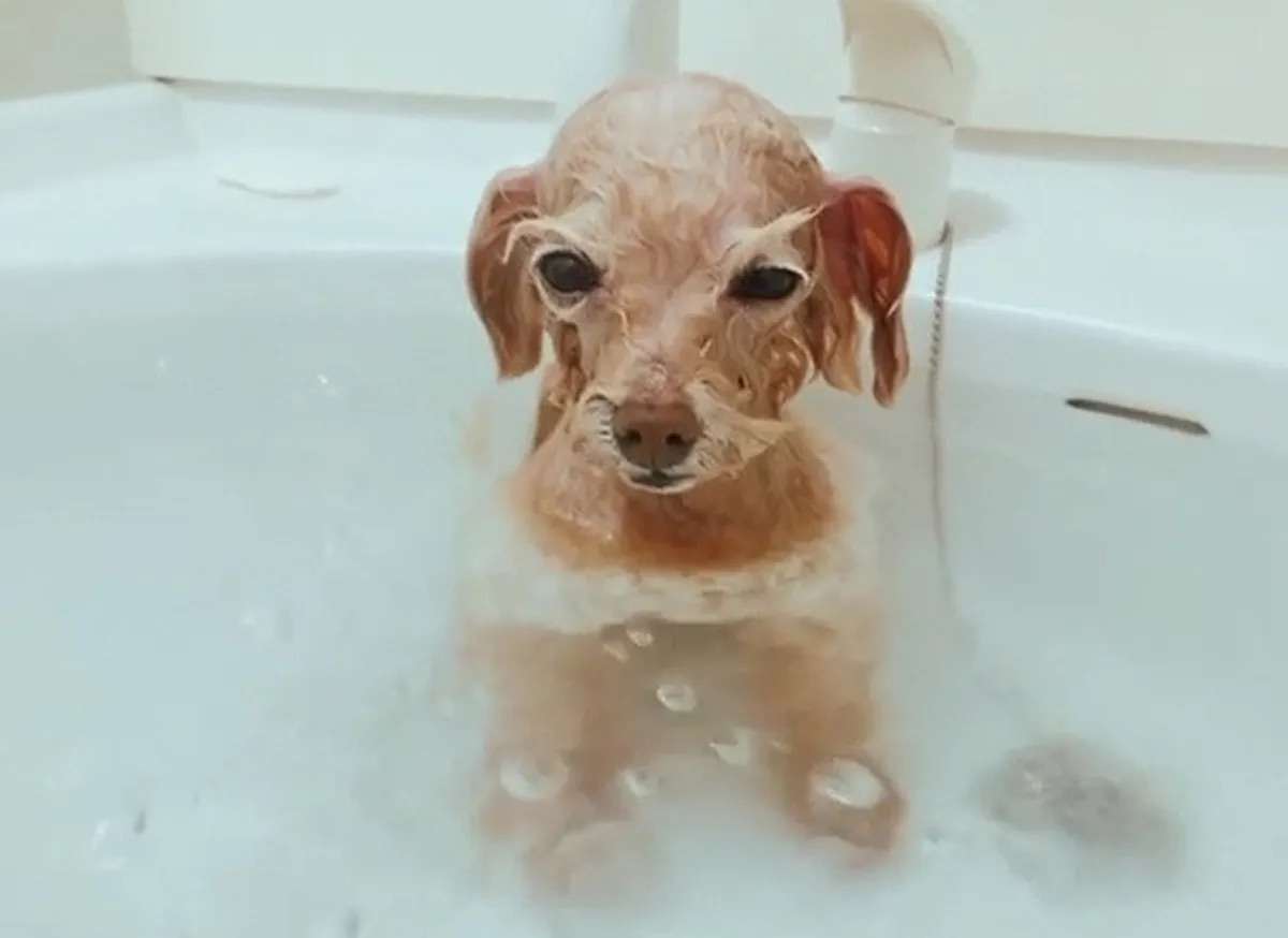 【スギちゃん】おっととっと夏だぜぇ〜🌺【Part97】