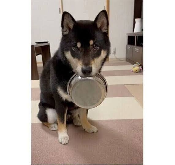 【スギちゃん】おっととっと夏だぜぇ〜🌺【Part97】