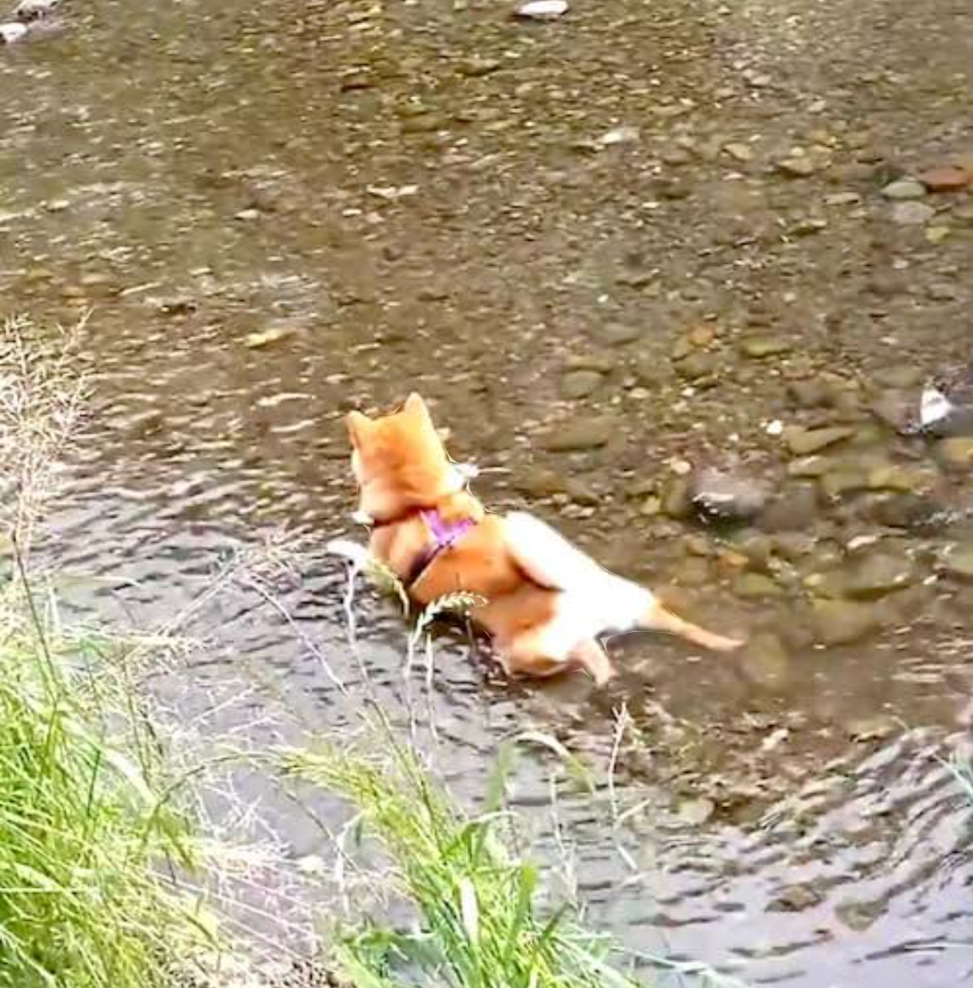 【スギちゃん】おっととっと夏だぜぇ〜🌺【Part97】