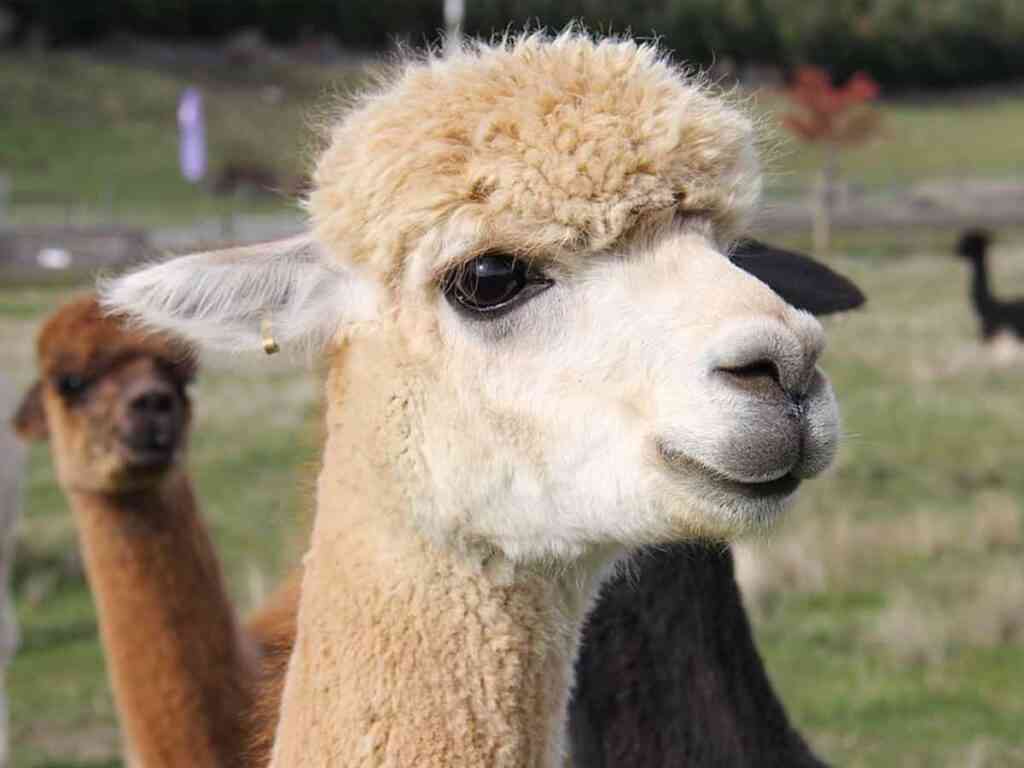 【スギちゃん】おっととっと夏だぜぇ〜🌺【Part97】