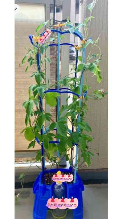 【スギちゃん】おっととっと夏だぜぇ〜🌺【Part97】