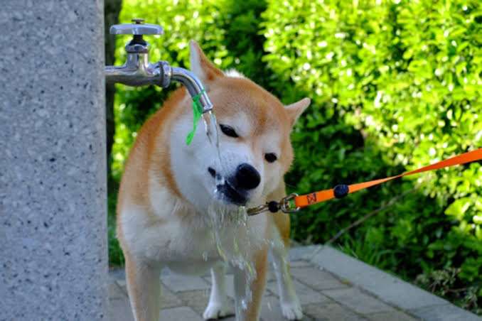 【スギちゃん】おっととっと夏だぜぇ〜🌺【Part97】