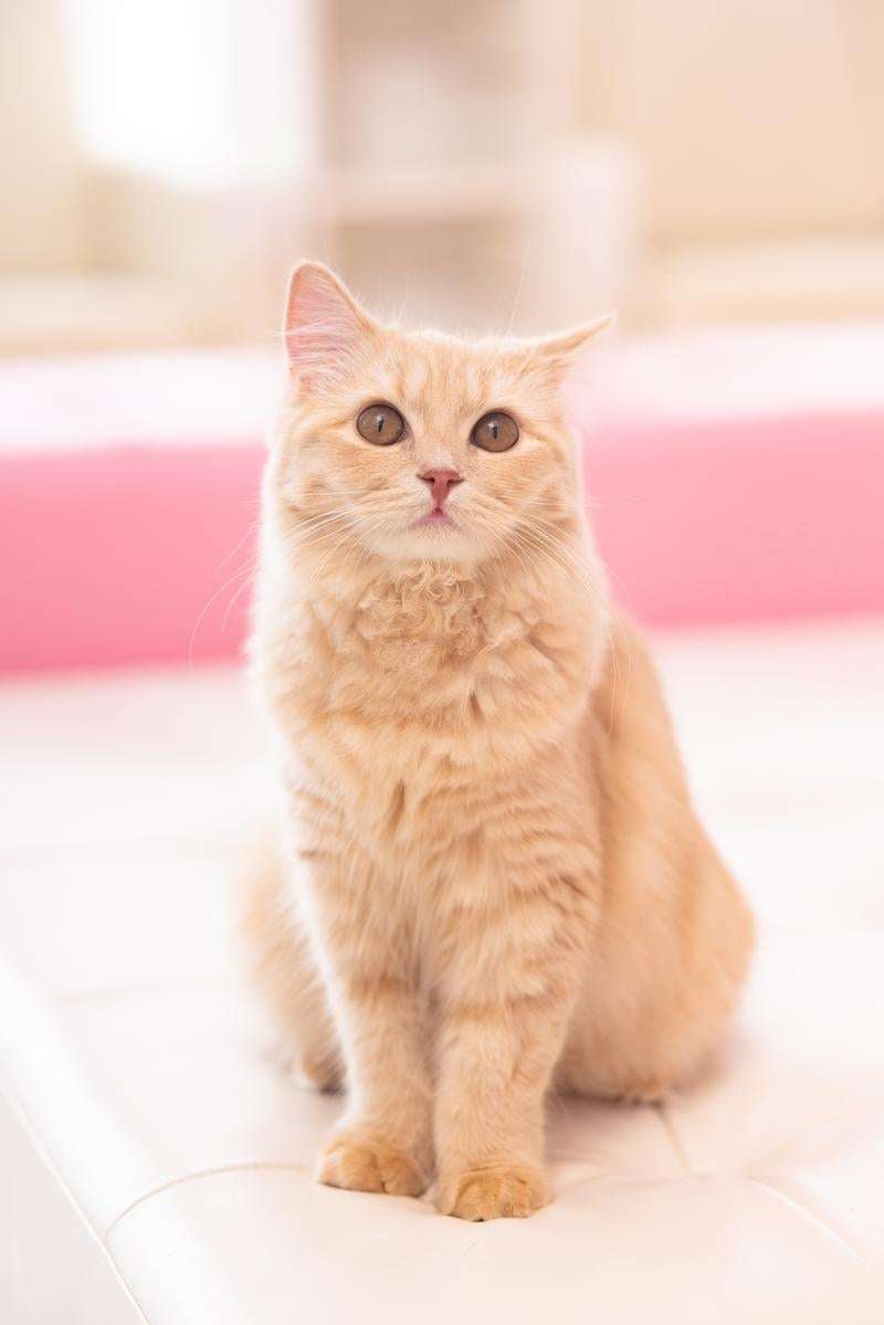 【スギちゃん】おっととっと夏だぜぇ〜🌺【Part97】