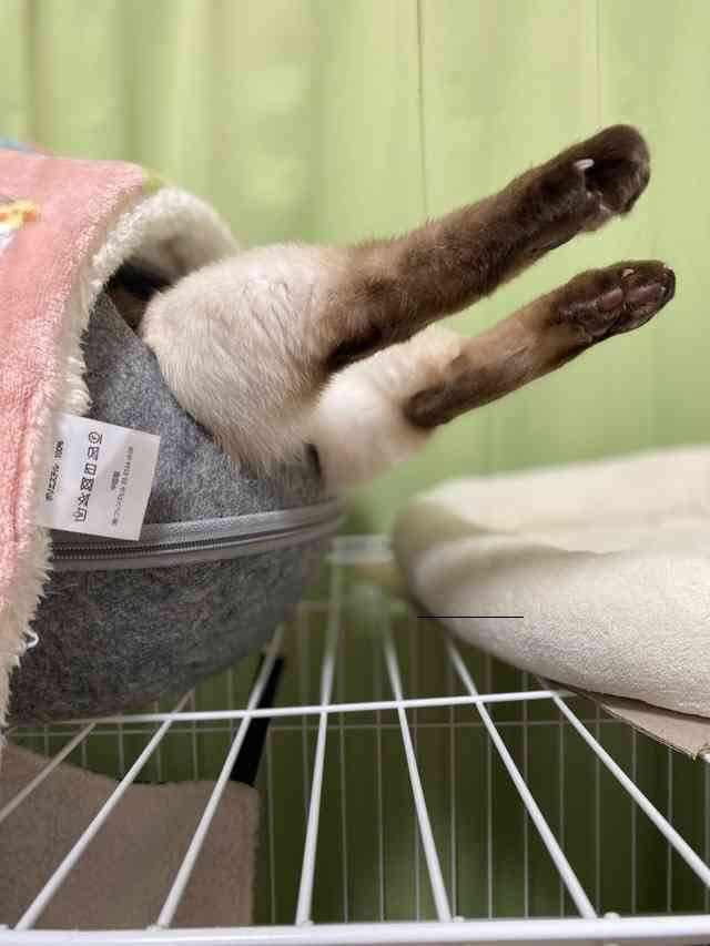 【スギちゃん】おっととっと夏だぜぇ〜🌺【Part97】