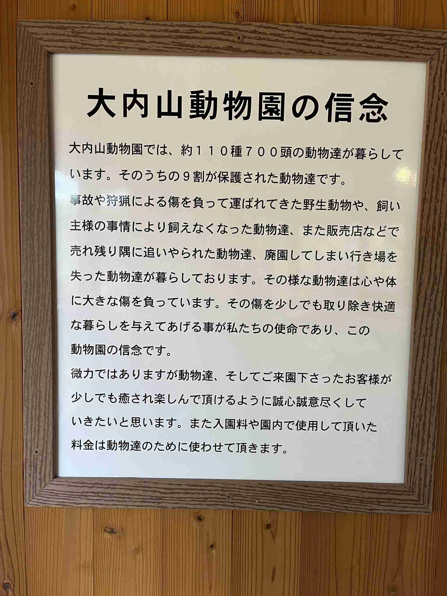 【スギちゃん】おっととっと夏だぜぇ〜🌺【Part97】