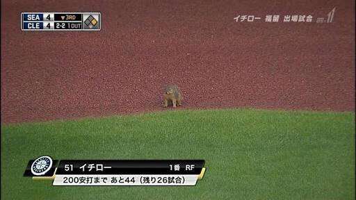 【スギちゃん】おっととっと夏だぜぇ〜🌺【Part97】