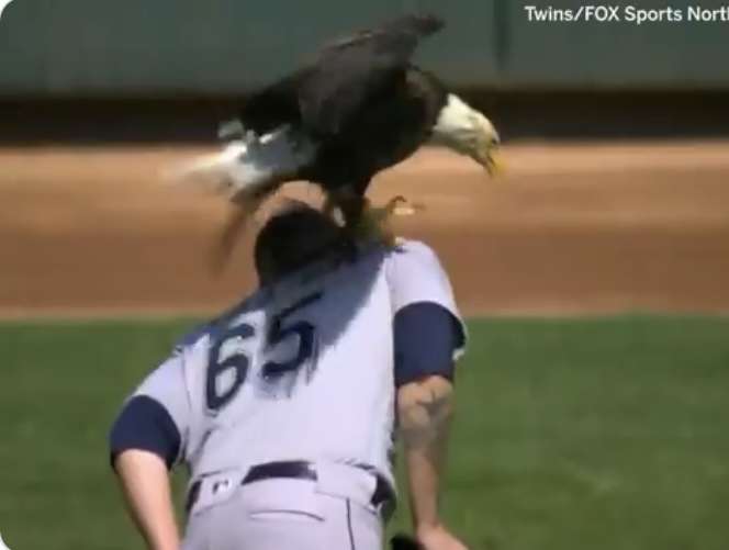 【スギちゃん】おっととっと夏だぜぇ〜🌺【Part97】