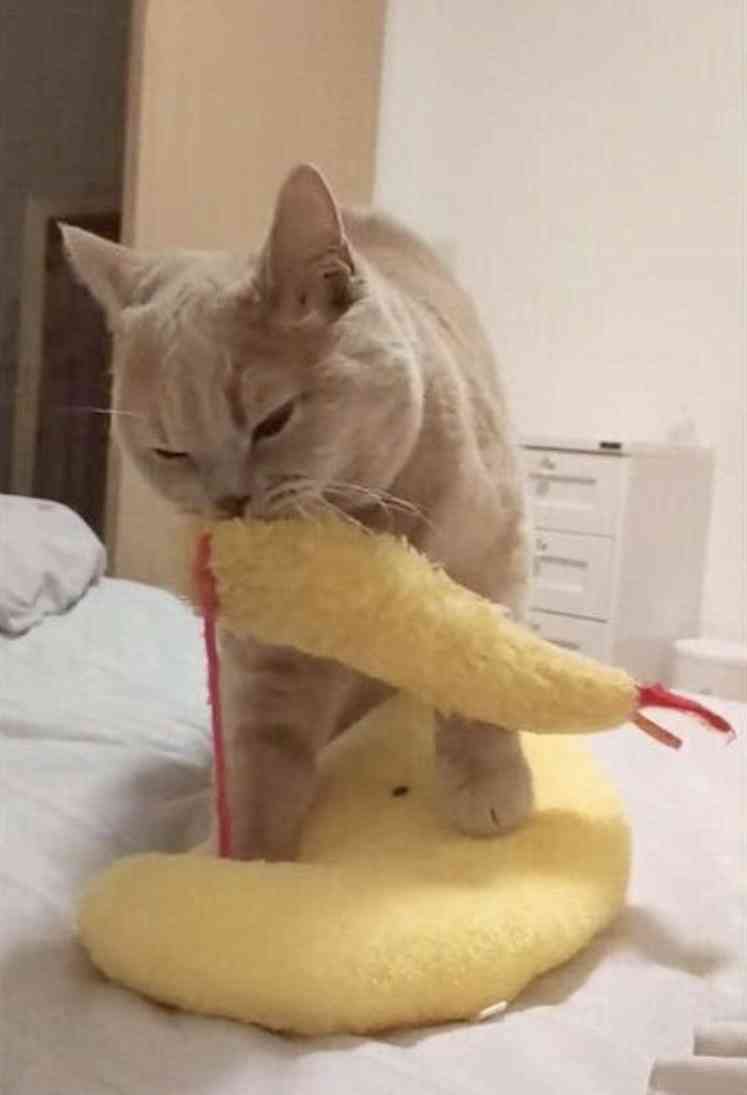 【スギちゃん】おっととっと夏だぜぇ〜🌺【Part97】