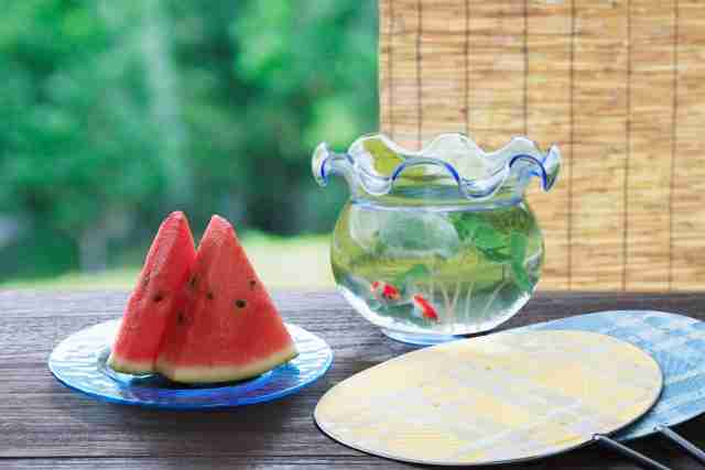 【スギちゃん】おっととっと夏だぜぇ〜🌺【Part97】