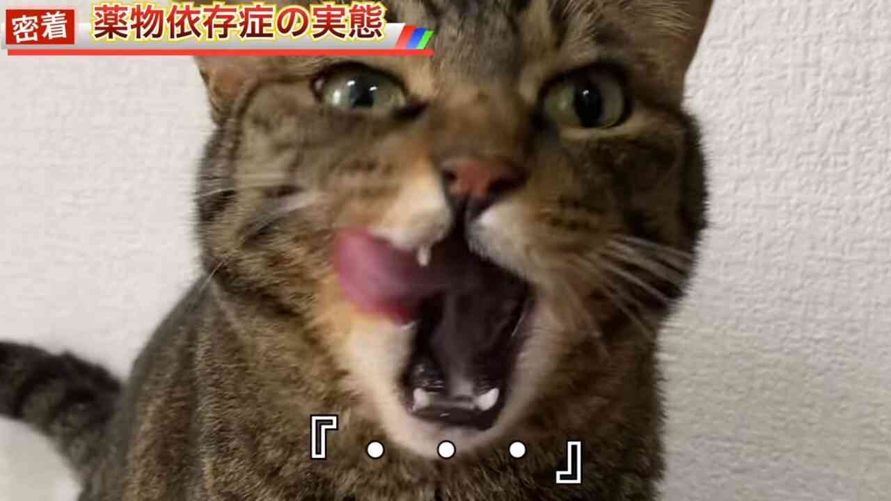 【スギちゃん】おっととっと夏だぜぇ〜🌺【Part97】