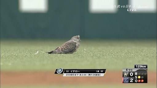 【スギちゃん】おっととっと夏だぜぇ〜🌺【Part97】