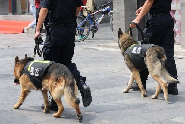 【スギちゃん】おっととっと夏だぜぇ〜🌺【Part97】