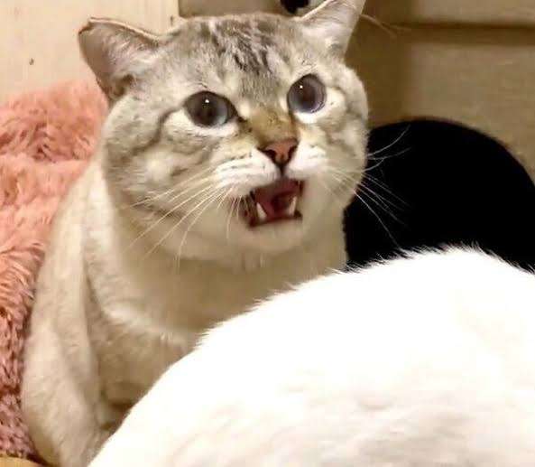 【スギちゃん】おっととっと夏だぜぇ〜🌺【Part97】