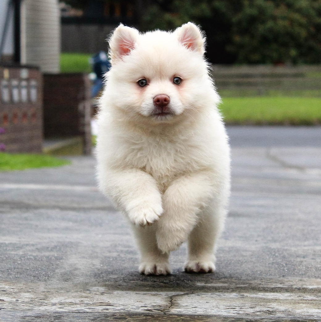 【スギちゃん】おっととっと夏だぜぇ〜🌺【Part97】