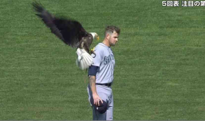 【スギちゃん】おっととっと夏だぜぇ〜🌺【Part97】