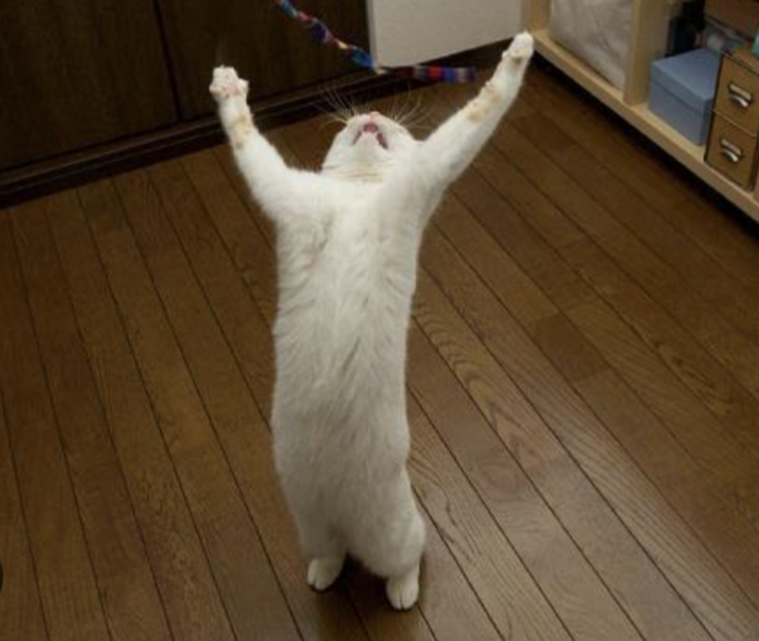 【スギちゃん】おっととっと夏だぜぇ〜🌺【Part97】