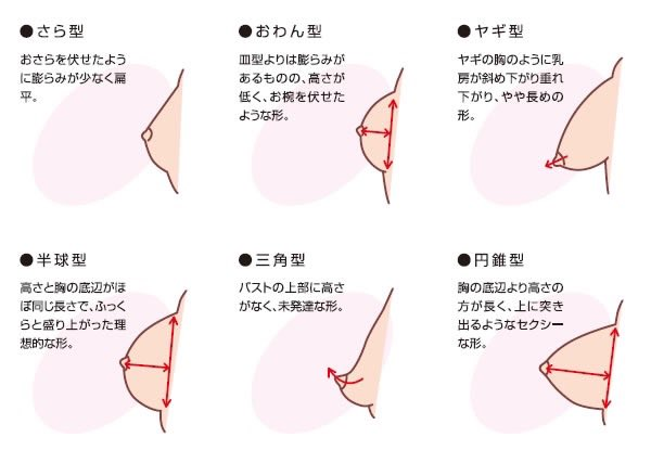 ナイトブラって付けてますか?