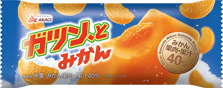 おすすめの氷菓・シャーベット・かき氷アイス🧊