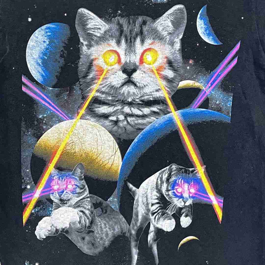 「ラピコタ帝国」「人間だったい」　“ラピュタ”のDVDを買ったと思ったら…　とんでもない“ニセモノ”が話題 「笑うw」「逆に見てみたい」