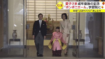 好きな車種を言うトピ