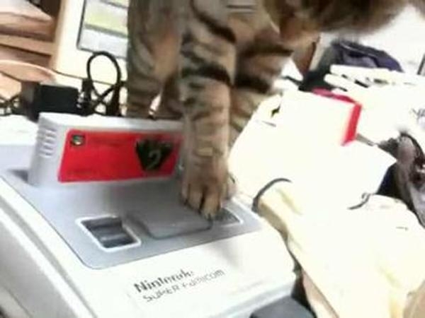 【ネタバレ注意】ゲームでショックを受けた瞬間