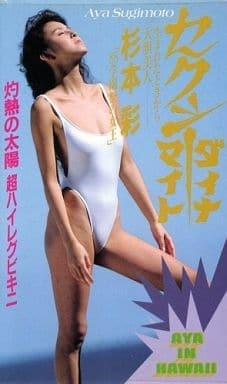 杉本彩、網タイツの妖艶“ボンテージ”ルックを着こなす「刺激的」　56歳のバースデーイベントで