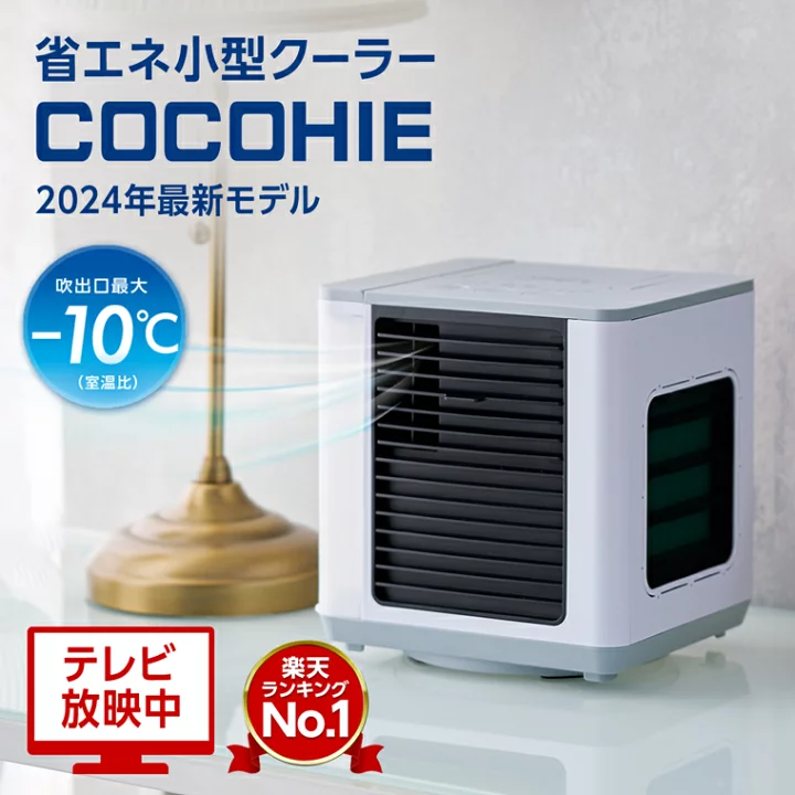 最近やらかした、安物買いの銭失い