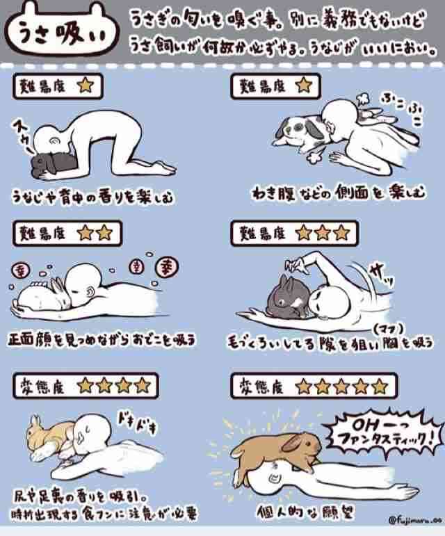 【ペット】愛情表現の1つ「犬吸い」「猫吸い」は危険? ペットの犬や猫の体に鼻先をうずめて大きく息を吸う行為に潜む“健康リスク”を専門家が指摘